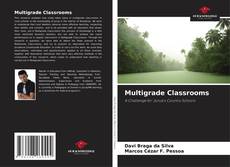 Bookcover of Multigrade Classrooms