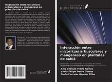 Обложка Interacción entre micorrizas arbusculares y manganeso en plántulas de sabiá