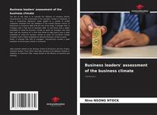 Bookcover of Business leaders' assessment of the business climate