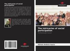 Borítókép a  The intricacies of social participation - hoz