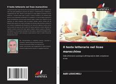 Portada del libro de Il testo letterario nel liceo marocchino