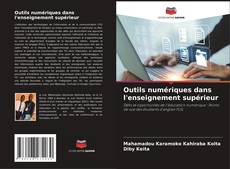 Bookcover of Outils numériques dans l'enseignement supérieur