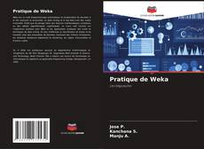 Bookcover of Pratique de Weka