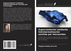 Couverture de Superconductor mediante hidrotermalización asistida por microondas
