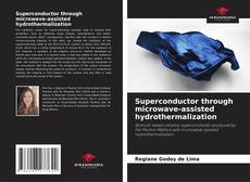 Bookcover of Superconductor through microwave-assisted hydrothermalization