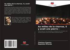 Bookcover of Au milieu de la charrue, il y avait une pierre :