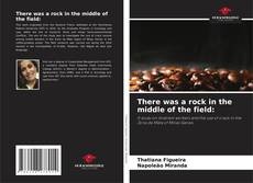 There was a rock in the middle of the field: kitap kapağı