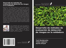 Desarrollo de métodos de evaluación de detección de riesgos en la soldadura kitap kapağı
