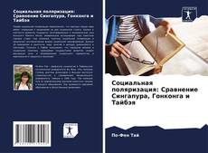 Социальная поляризация: Сравнение Сингапура, Гонконга и Тайбэя kitap kapağı