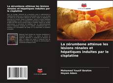 Bookcover of La zérumbone atténue les lésions rénales et hépatiques induites par le cisplatine