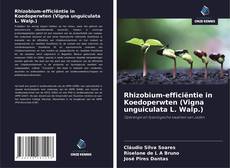 Portada del libro de Rhizobium-efficiëntie in Koedoperwten (Vigna unguiculata L. Walp.)