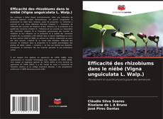 Bookcover of Efficacité des rhizobiums dans le niébé (Vigna unguiculata L. Walp.)