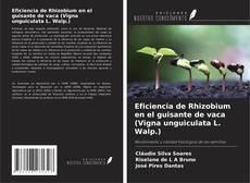 Eficiencia de Rhizobium en el guisante de vaca (Vigna unguiculata L. Walp.) kitap kapağı