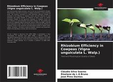 Bookcover of Rhizobium Efficiency in Cowpeas (Vigna unguiculata L. Walp.)