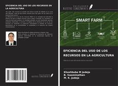 EFICIENCIA DEL USO DE LOS RECURSOS EN LA AGRICULTURA kitap kapağı