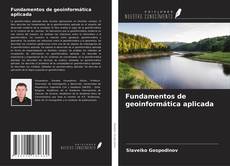Portada del libro de Fundamentos de geoinformática aplicada