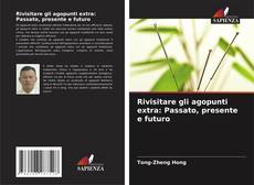 Bookcover of Rivisitare gli agopunti extra: Passato, presente e futuro