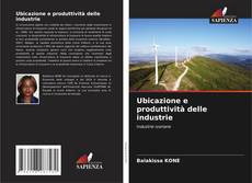 Bookcover of Ubicazione e produttività delle industrie