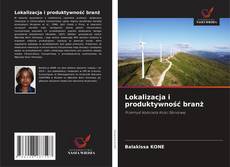 Portada del libro de Lokalizacja i produktywność branż