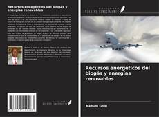 Borítókép a  Recursos energéticos del biogás y energías renovables - hoz