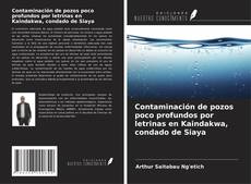 Borítókép a  Contaminación de pozos poco profundos por letrinas en Kaindakwa, condado de Siaya - hoz