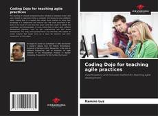 Copertina di Coding Dojo for teaching agile practices