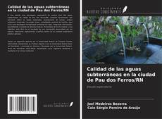 Calidad de las aguas subterráneas en la ciudad de Pau dos Ferros/RN kitap kapağı