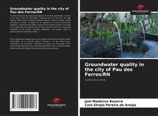 Bookcover of Groundwater quality in the city of Pau dos Ferros/RN