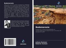 Portada del libro de Bodemerosie