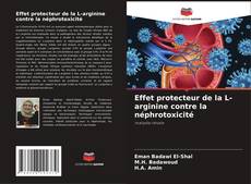 Couverture de Effet protecteur de la L-arginine contre la néphrotoxicité