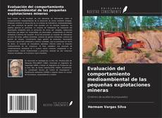 Borítókép a  Evaluación del comportamiento medioambiental de las pequeñas explotaciones mineras - hoz