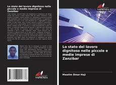 Portada del libro de Lo stato del lavoro dignitoso nelle piccole e medie imprese di Zanzibar