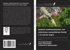 Borítókép a  Gestión medioambiental: Las relaciones comunitarias frente a la marea negra - hoz