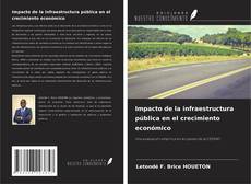 Impacto de la infraestructura pública en el crecimiento económico kitap kapağı
