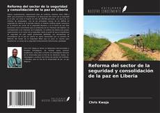 Reforma del sector de la seguridad y consolidación de la paz en Liberia kitap kapağı