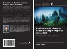 Evaluación de diversas cepas de chopo (Populus deltoides) kitap kapağı