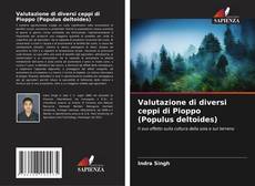 Bookcover of Valutazione di diversi ceppi di Pioppo (Populus deltoides)