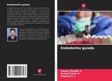 Couverture de Endodontia guiada