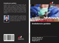 Bookcover of Endodonzia guidata