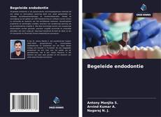 Portada del libro de Begeleide endodontie