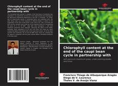 Bookcover of Chlorophyll content at the end of the caupi bean cycle in partnership with