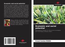 Bookcover of Economic and social potential