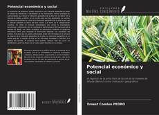 Portada del libro de Potencial económico y social