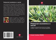 Couverture de Potencial económico e social