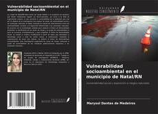 Couverture de Vulnerabilidad socioambiental en el municipio de Natal/RN
