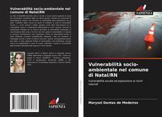 Обложка Vulnerabilità socio-ambientale nel comune di Natal/RN
