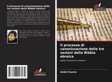 Bookcover of Il processo di canonizzazione delle tre sezioni della Bibbia ebraica