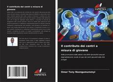 Bookcover of Il contributo dei centri a misura di giovane