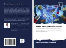 Bookcover of Вклад молодежных центров