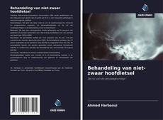 Behandeling van niet-zwaar hoofdletsel的封面